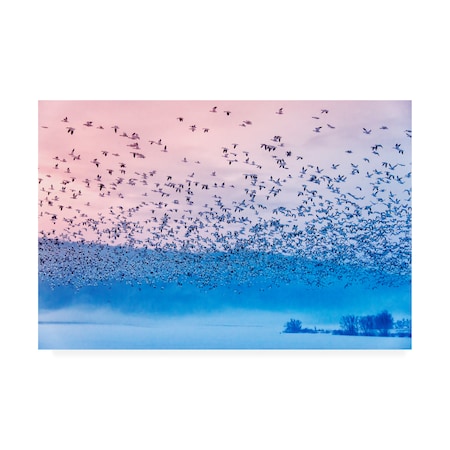 Rob Li 'Flying In The Fogging Morning' Canvas Art,12x19